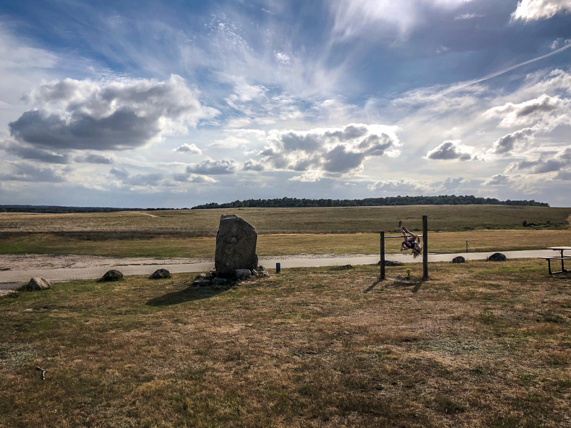 Het uitgestrekte natuurgebied de Veluwe ligt vlakbij het hotel Doorwerth