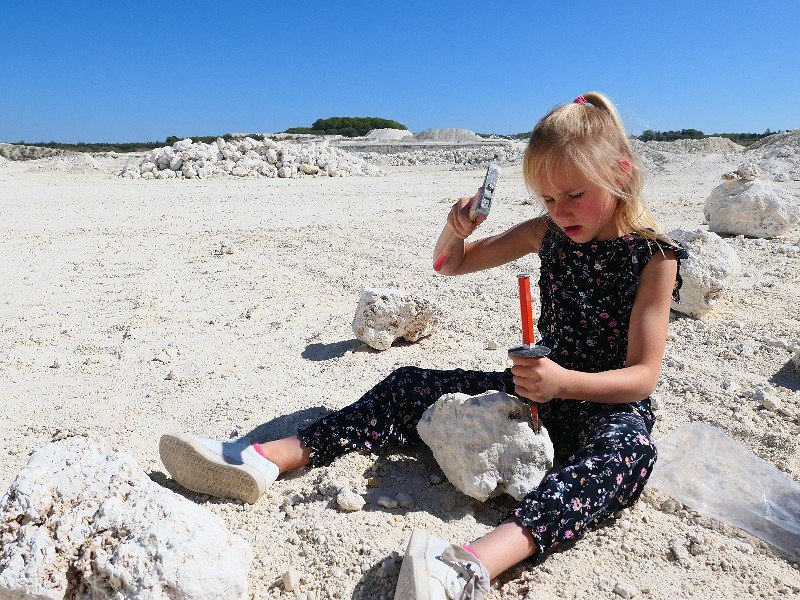 OP zoek naar fossielen in Geomuseum FAxe