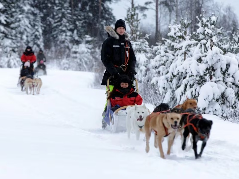 huskytocht