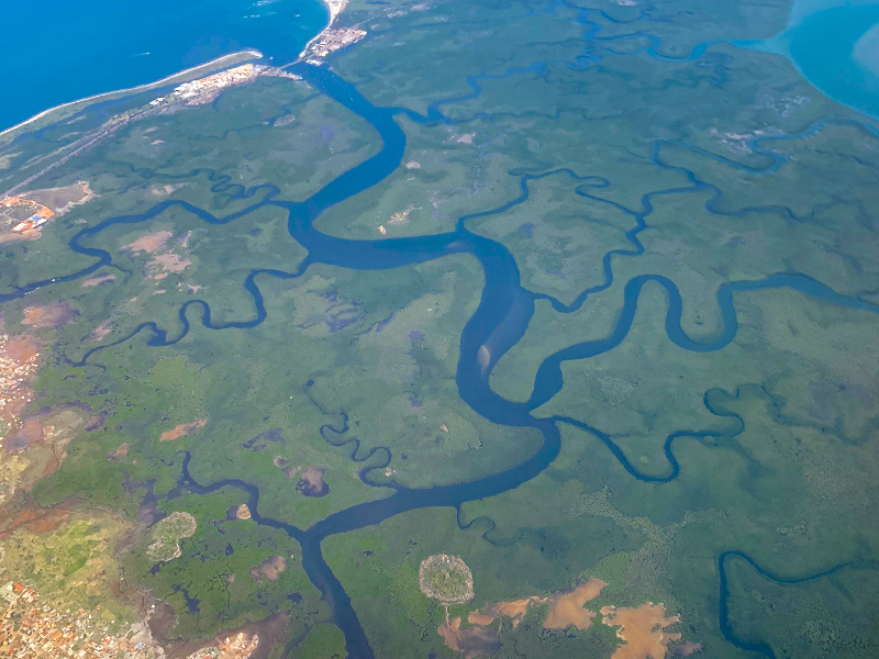 Het landschap van Gambia vol riviervertakkingen