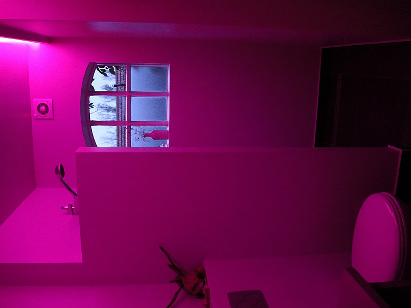 Swingen in de flitsende disco-douche!