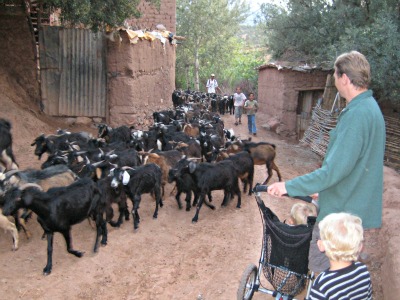 We komen een kudde geiten tegen in het Berber dorpje We komen een kudde geiten tegen in het Berber dorpje