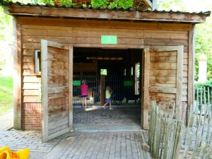 Naar de geitjes kijken op de boerderij
