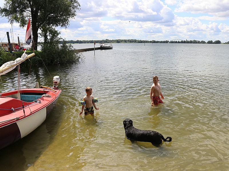 Zwemmen met gezelschap!