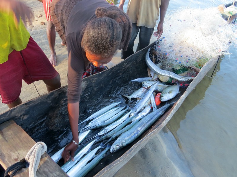 De gevangen vis in de kano