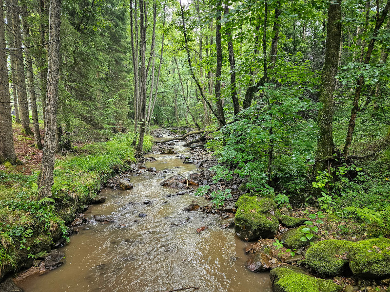 Het beekje de Eau Rouge