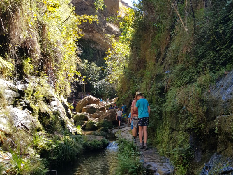 Wandelen door de groene Namaza canyon in Isalo NP