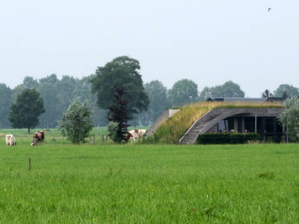 Eén van de grondulows