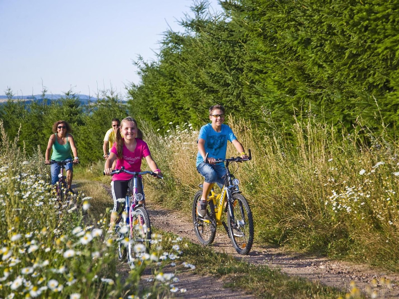 Mooie fietsroutes vanaf Ferienpark Hambachtal