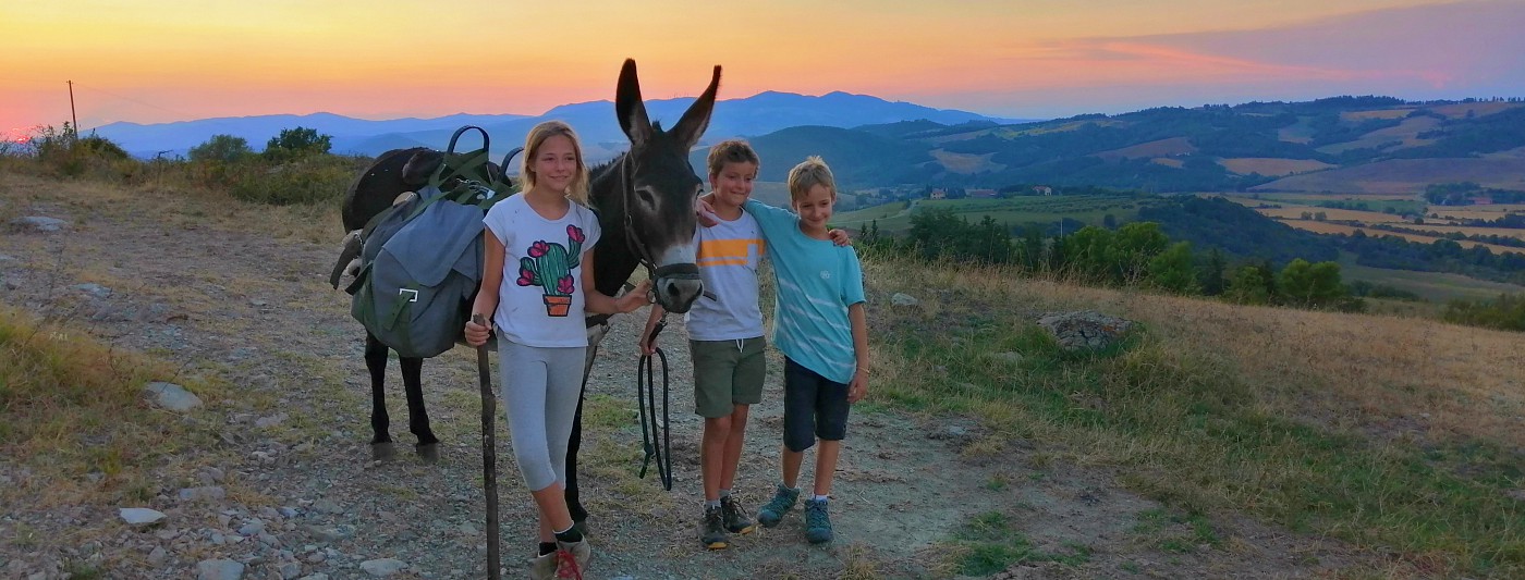 wandelen met de ezel, super gave vakantie met kinderen