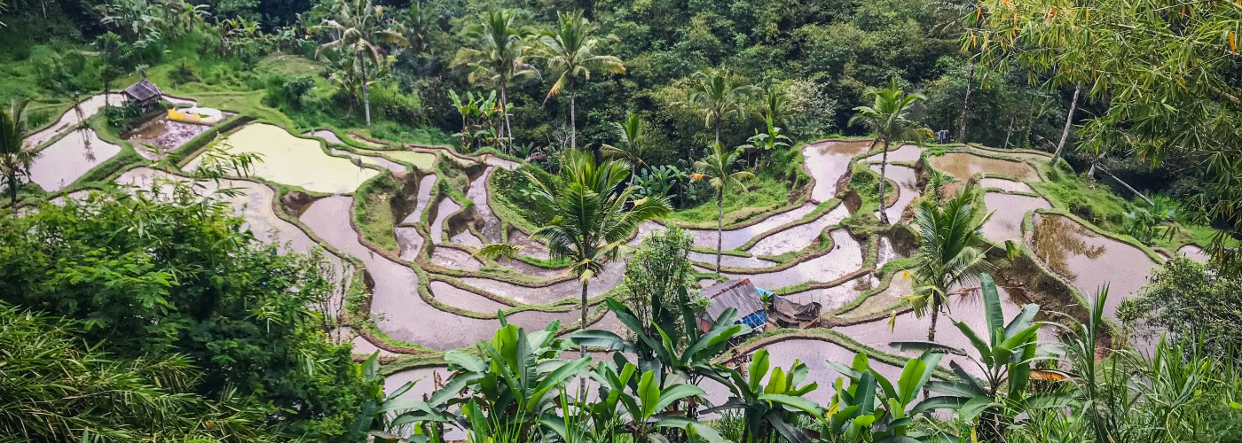 Bali terrassen van boven