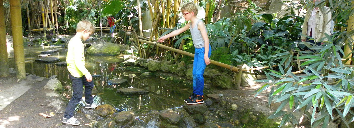 Spelen in de jungle dome