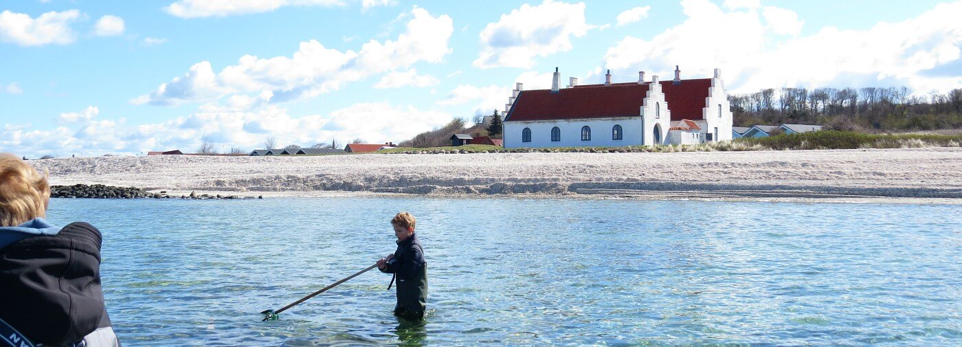 Tycho aan het garnalen vissen in het Limfjord
