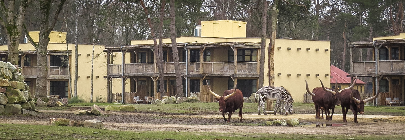 Safari Hotel Beekse Bergen