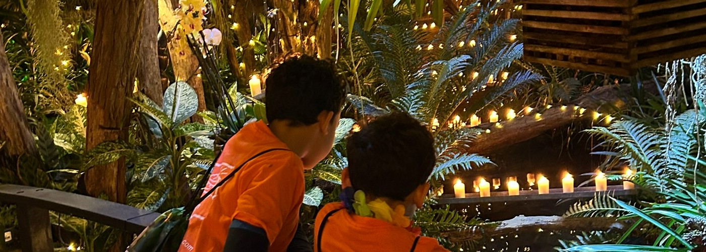 WinterDroom Pantropica
