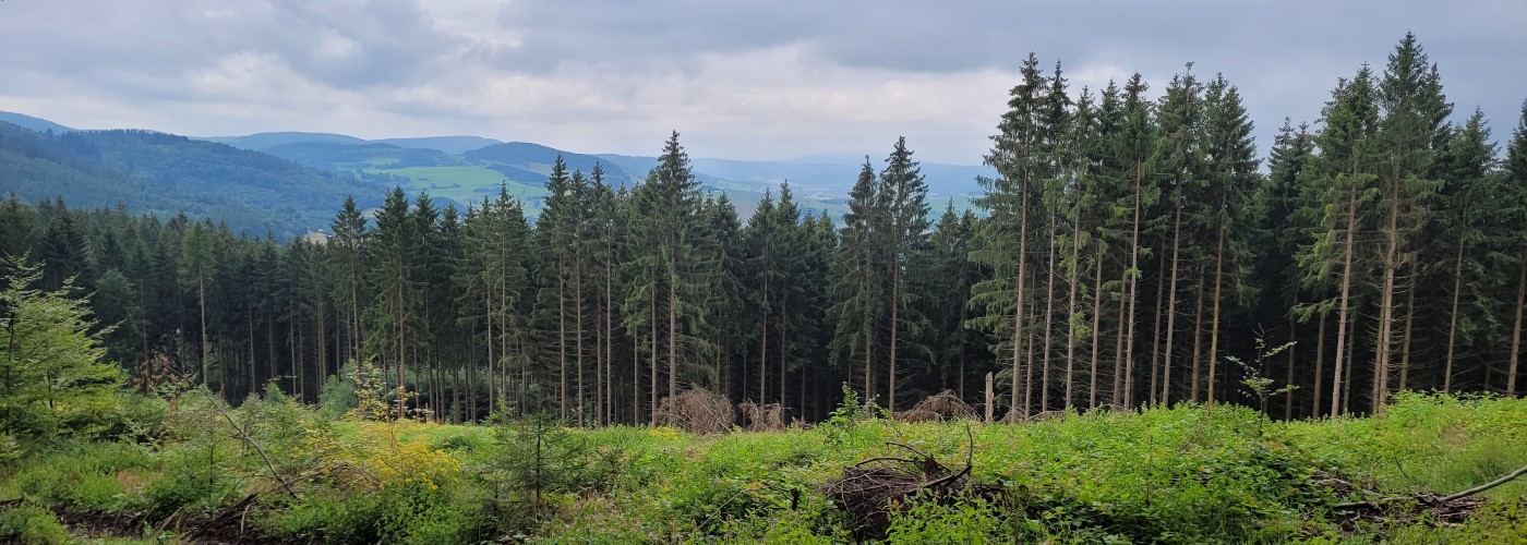 bossen thuringen