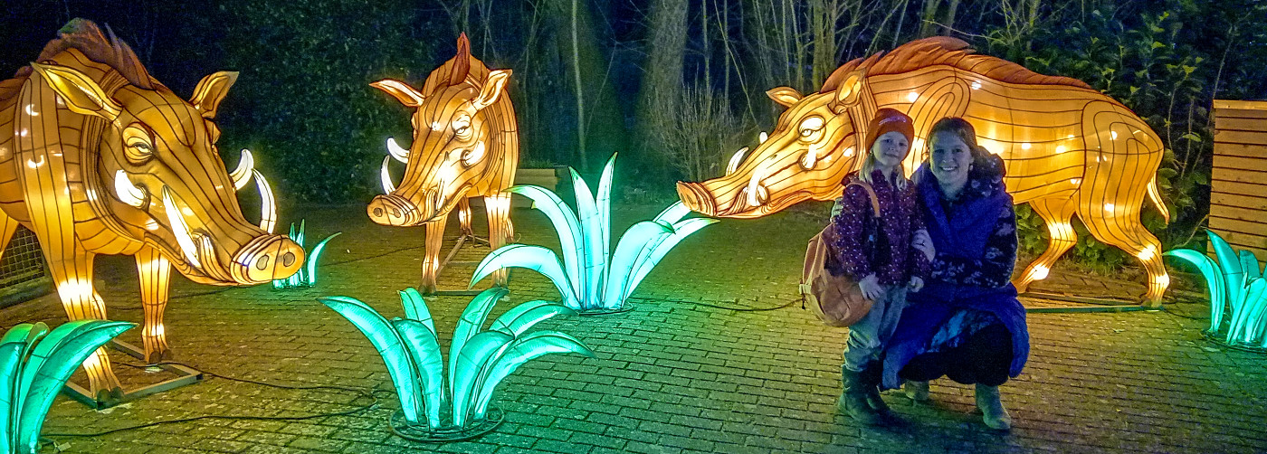 China Lights in Tiergarten Kleve