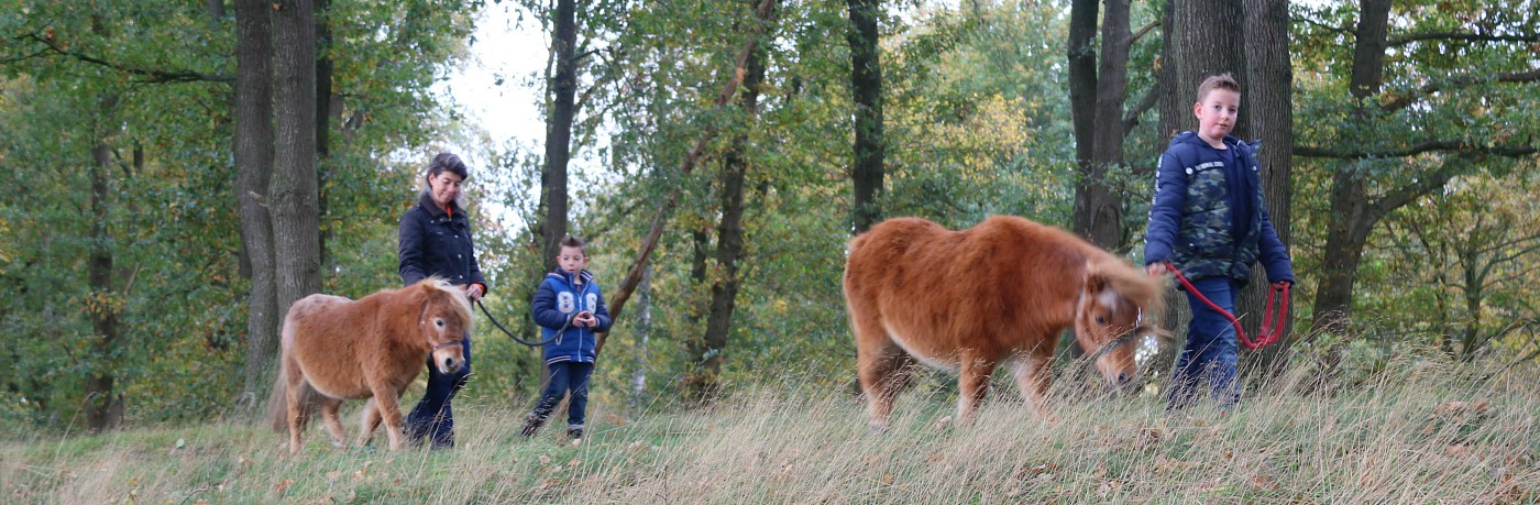 De jongens met pony's aan de wandel