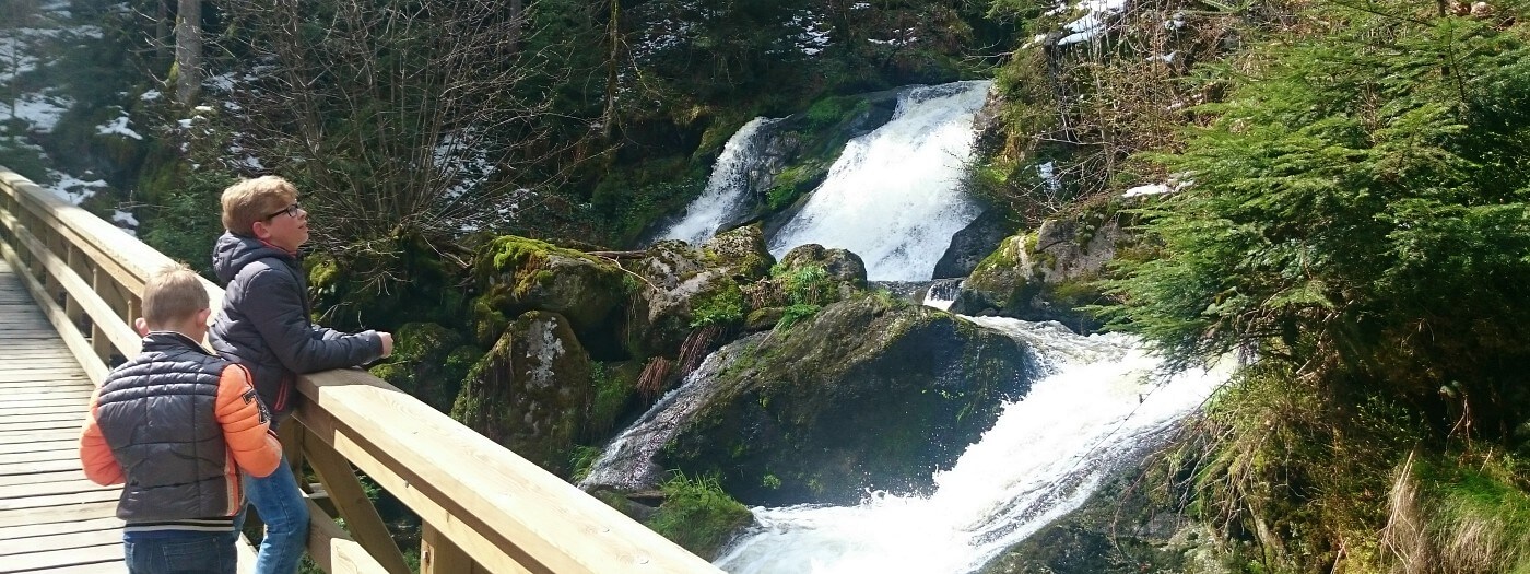 De jongens bekijken de waterval in het Zwarte Woud