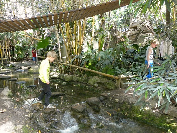 Jungle dome Heijderbos