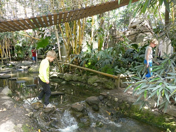 spelen in de jungle dome