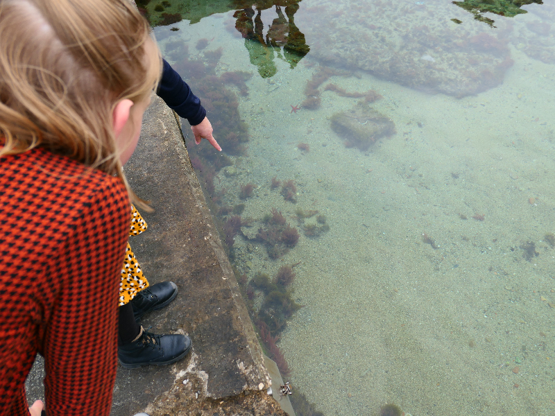 Visjes spotten in het heldere water