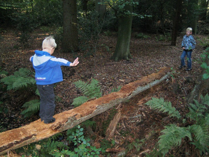 Sprietlopen bij een herfstwandeling in het bos