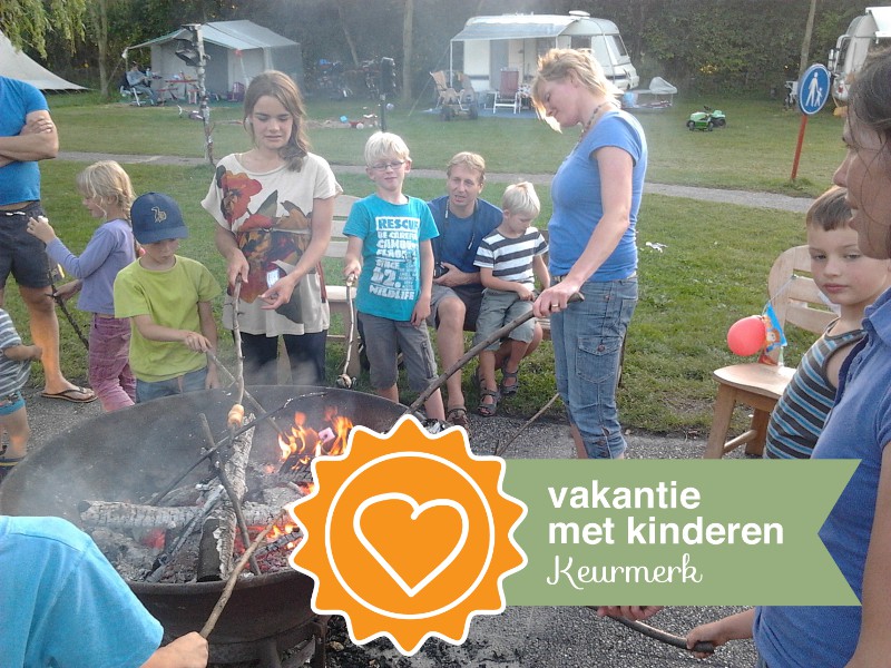 Marshmallows roosteren boven het kampvuur op de camping