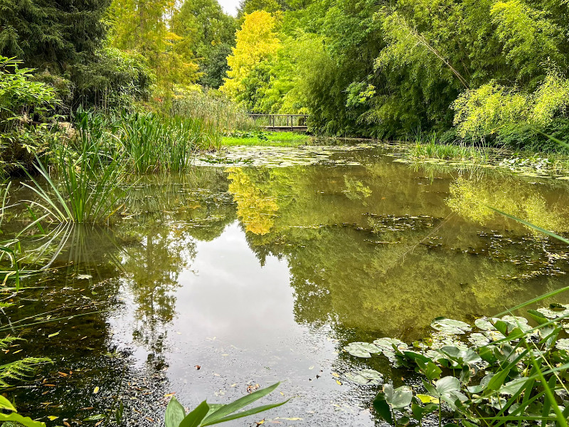 Mooie natuur in de botanische tuin