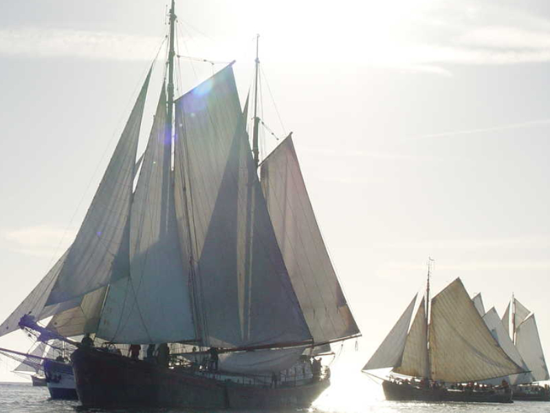 Vaar mee met een van de 30 traditionele zeilschepen van Hollandsail, en geniet van een vakantie op het water.