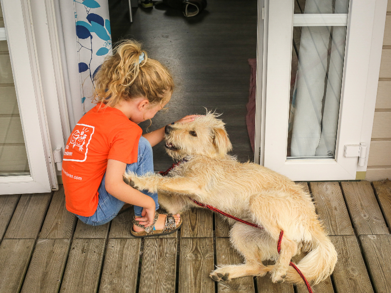 Hondje Freddy op de veranda van onze stacaravan.