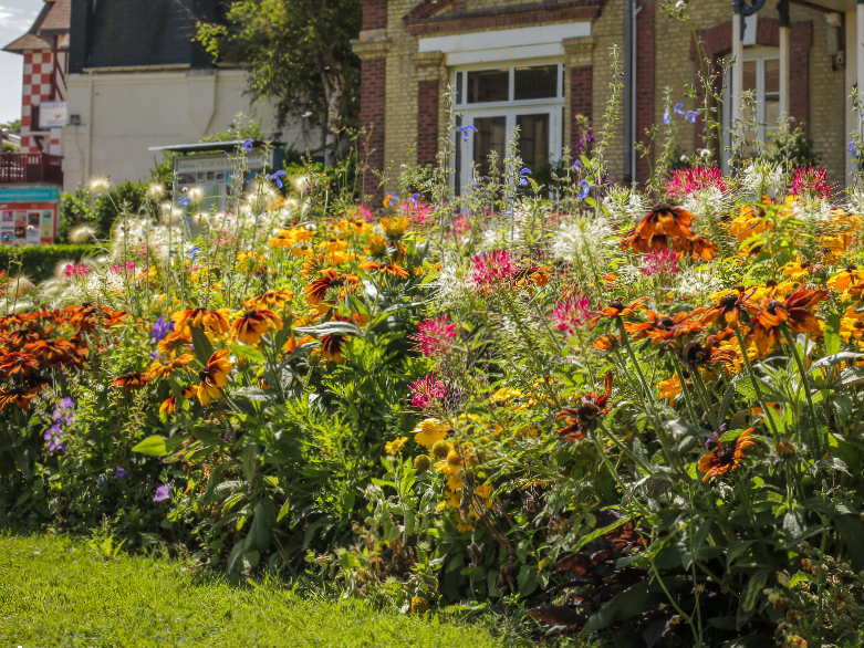 Kleurrijke bloemen en kunstige plantencreaties aan de Côte de Fleurie, hier in Villers-sur-Mer.