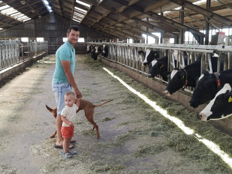Vaak mag de hond wel mee naar een boerderij