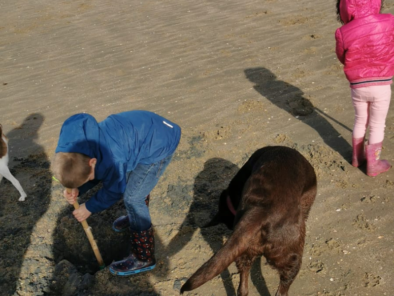 Lekker graven en spelen met de hond op het strand