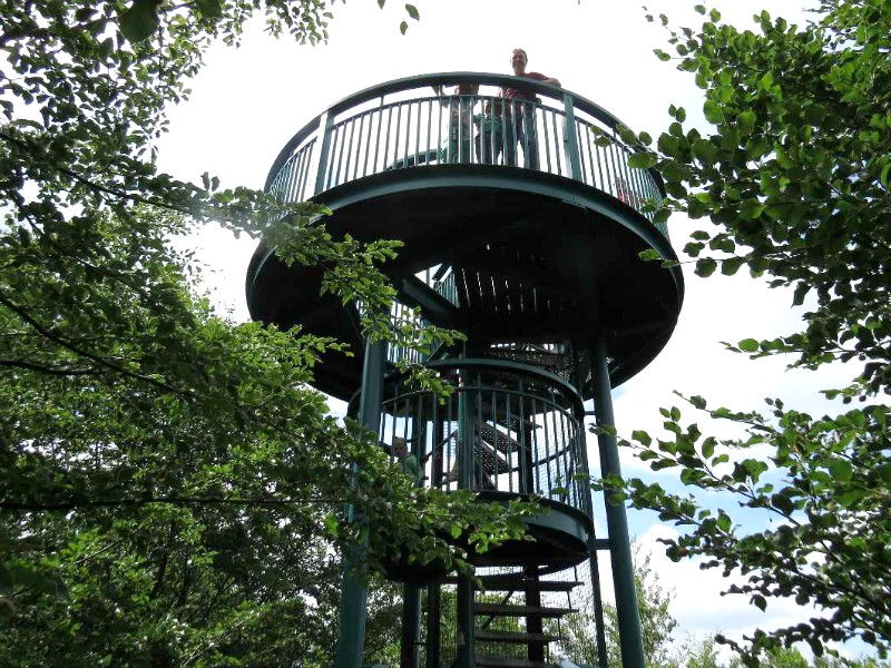 Het pad gaat tot hoog in de bomen