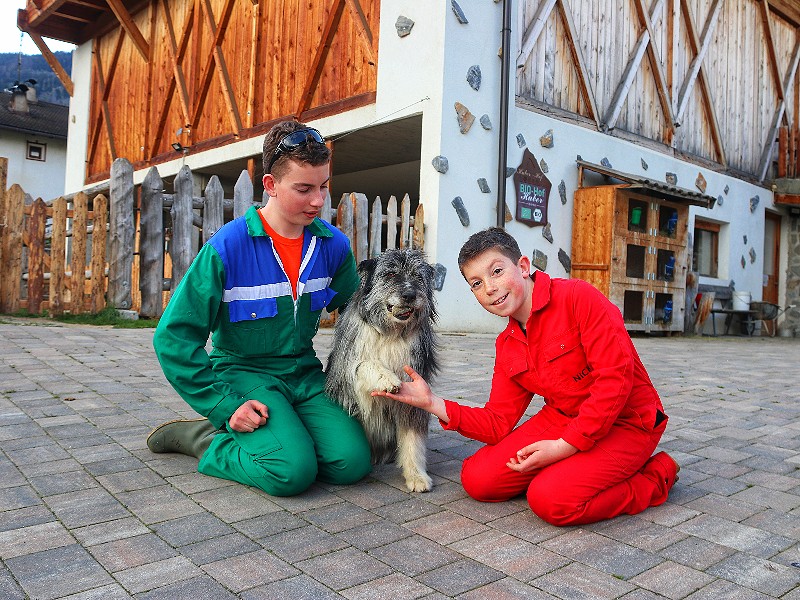 De lieve knuffel-boerderijhond Sissi