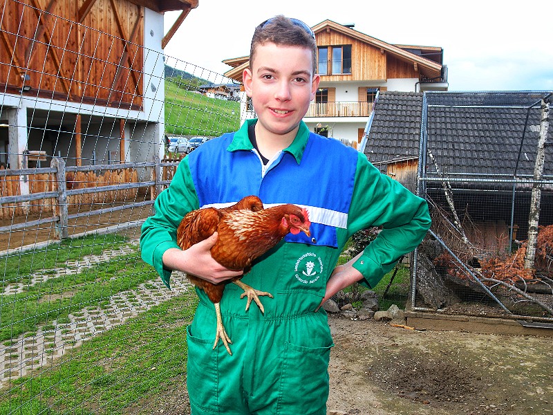 Met de kippen op stok?!
