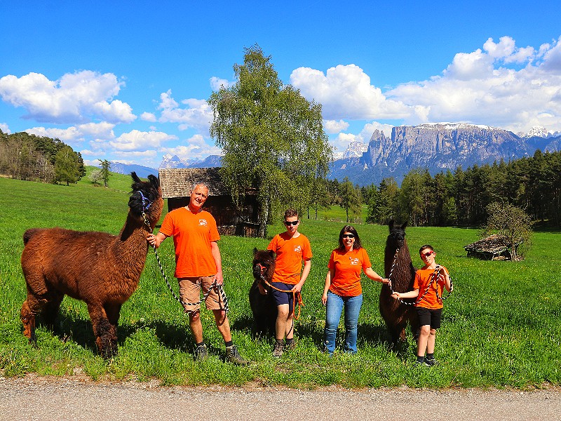 Lama-trekking bij Kaserhof