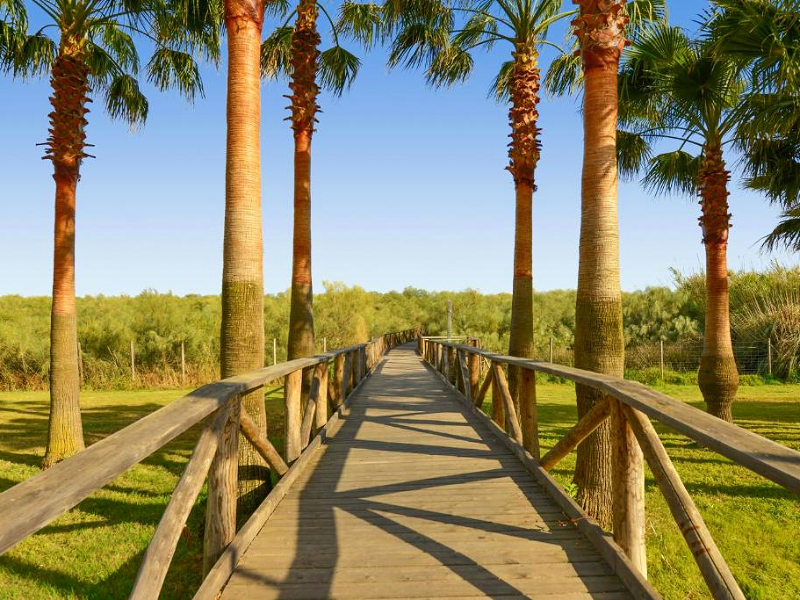 De natuur bij kindvriendelijk hotel Iberostar Isla Canela aan de Costa de la Luz