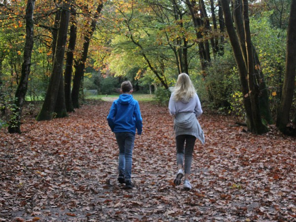 Je loopt zo het bos in