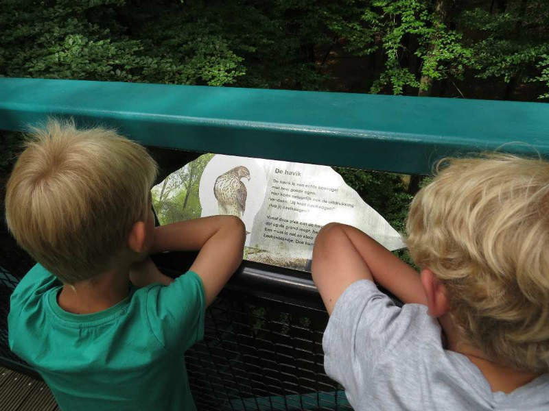 Informatiebordjes over planten en dieren