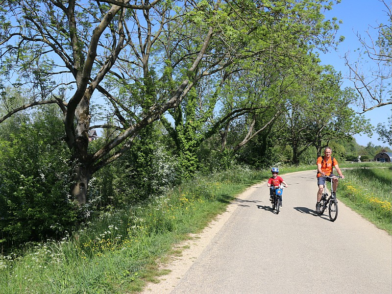Papa leerde Markje fietsen langs de lange Lingedijk....