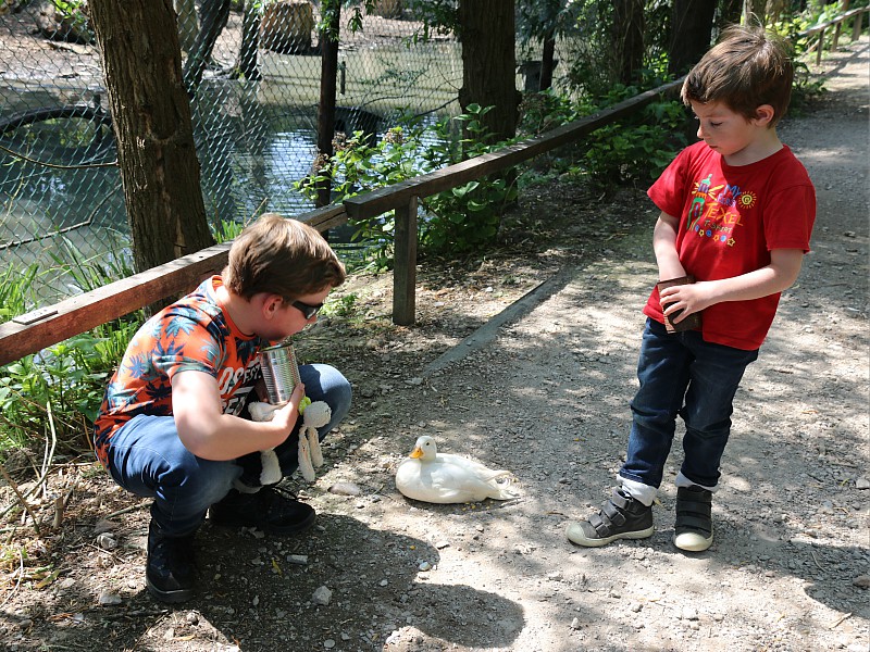We hebben maïs gekocht om de vogels te voeren