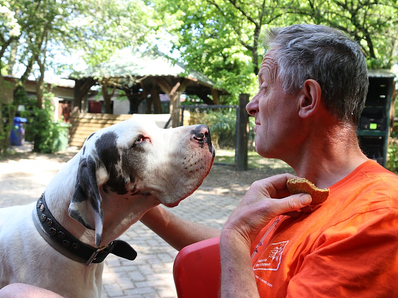 Nee, dat is míjn koekje....oké, vooruit dan maar!