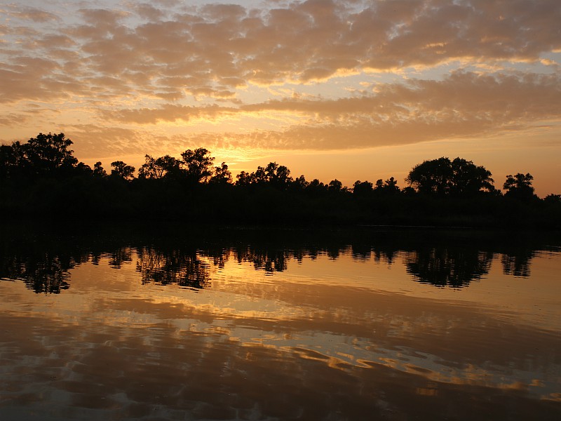 Zonsondergang in De Biesbosch....