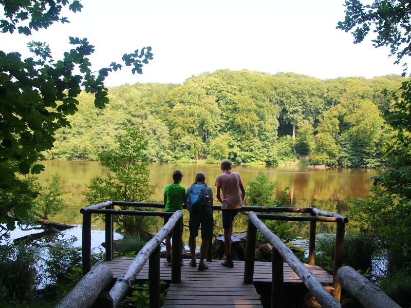 Tijdens de wandeling naar de krijtrotsen kom je langs dit plekje.