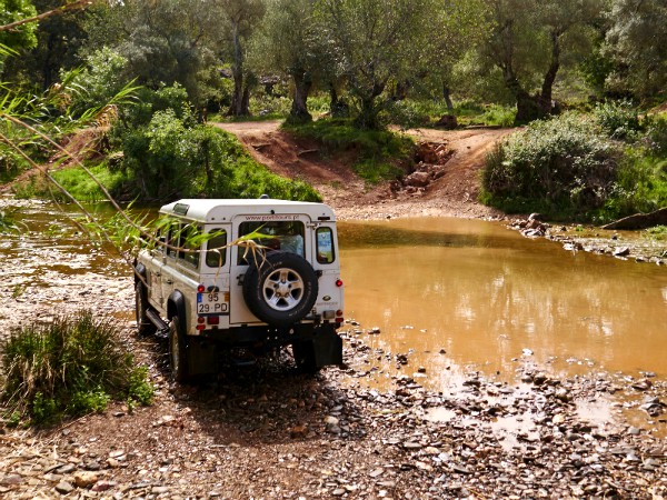 Een stoere jeep-safari door de natuur