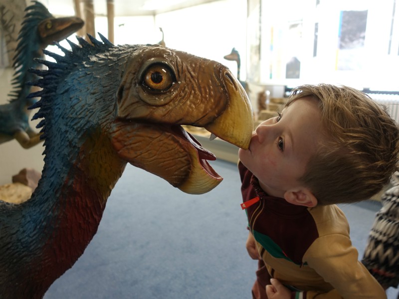 Een Dino kussen bij Naturzeitmuseum Bad Sachsa