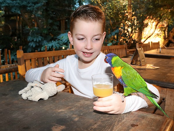 Onderonsje met de vogels in de Jungle Dome