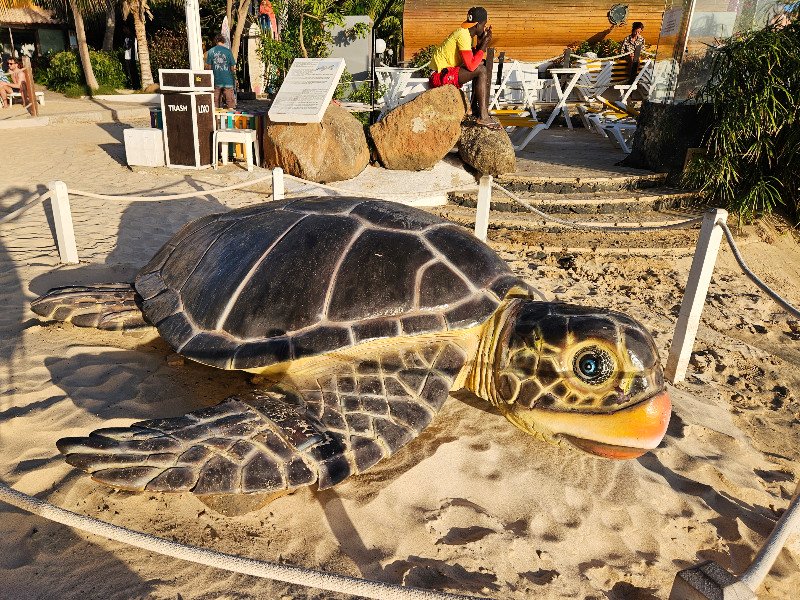 Eerbetoon aan de schildpad in Santa Maria 